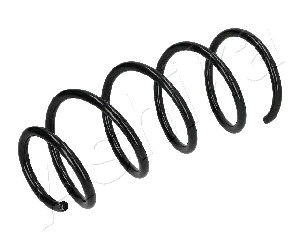 Suspension Spring (ZCA4000A)