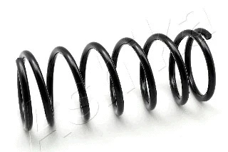 Suspension Spring (ZCA5076A)
