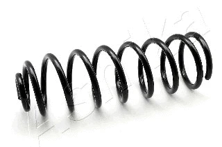 Suspension Spring (ZCA5212C)