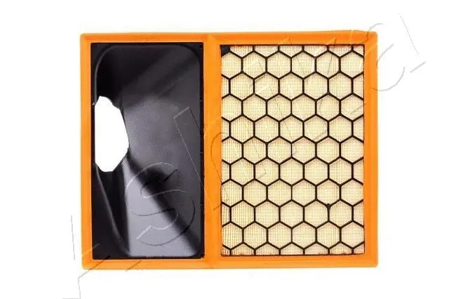 Air Filter (FA-0263JM)