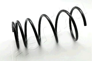 Suspension Spring (ZCA5091I)