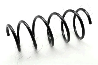 Suspension Spring (ZCA1574G)