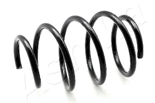 Suspension Spring (ZCA3003H)
