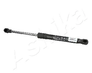 Gas Spring, boot/cargo area (ZSA09121)