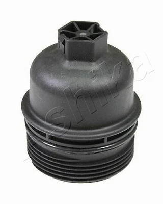 Cap, oil filter housing (160-00-021)