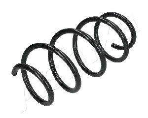 Suspension Spring (ZCA3934H)