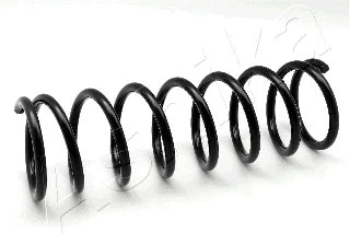 Suspension Spring (ZCA5376A)