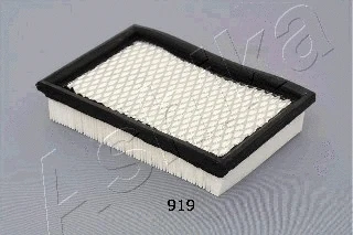 Air Filter (20-09-919)