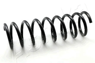 Suspension Spring (ZCA5053A)