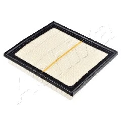 Air Filter (20-07-713)
