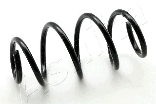 Suspension Spring (ZCA4120A)