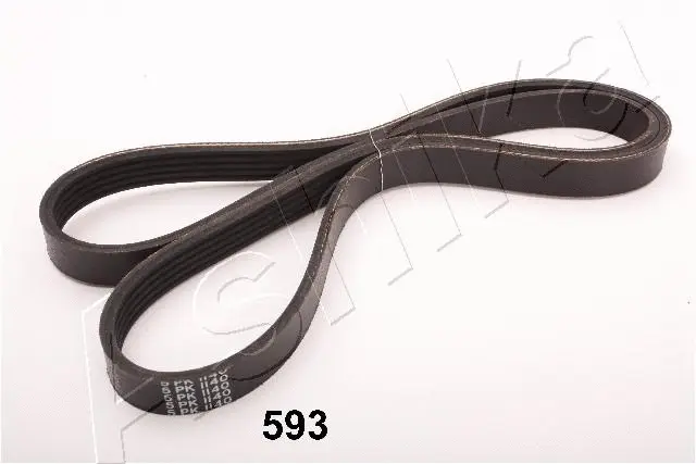 V-Ribbed Belt (96-05-593)