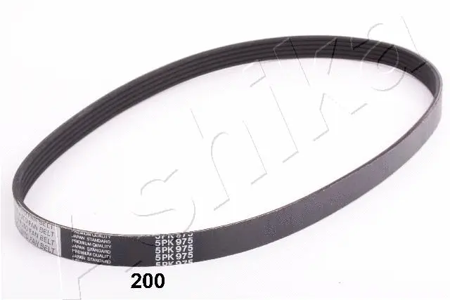 V-Ribbed Belt (96-02-200)