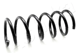 Suspension Spring (ZCA6966A)