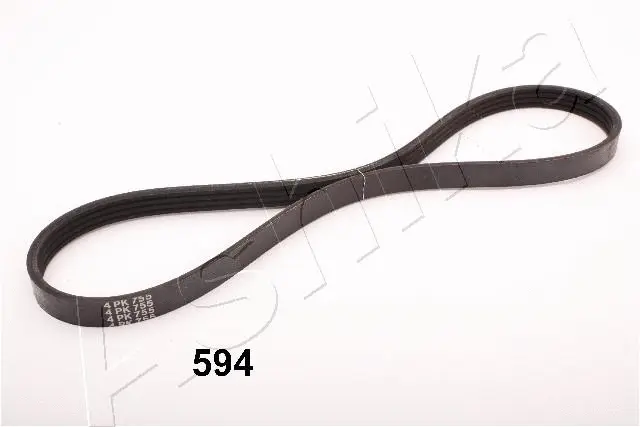 V-Ribbed Belt (96-05-594)