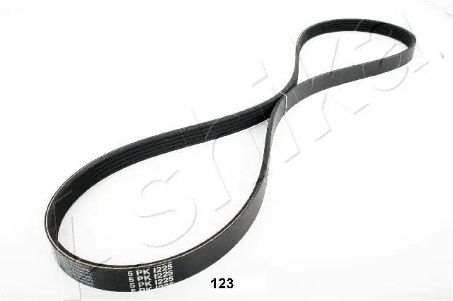 V-Ribbed Belt (96-01-123)