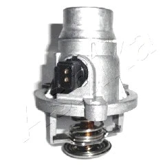 Thermostat, coolant (38-BM-BM03)