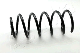 Suspension Spring (ZCA1702C)