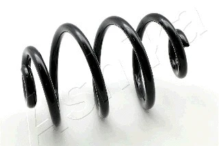 Suspension Spring (ZCA5552X)