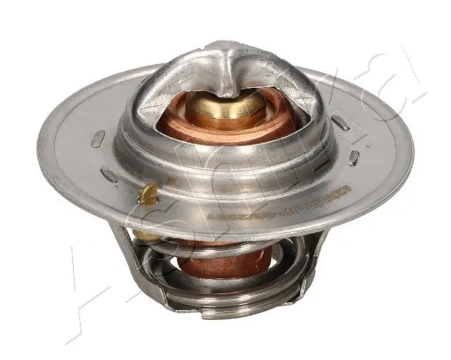 Thermostat, coolant (38-00-0910)