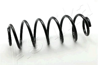 Suspension Spring (ZCA6071H)