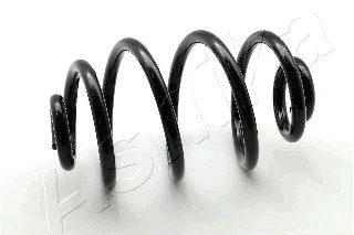Suspension Spring (ZCA5551X)
