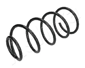 Suspension Spring (ZCA1101A)