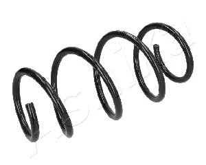 Suspension Spring (ZCA1183A)