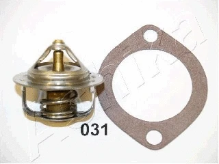 Thermostat, coolant (22-031)