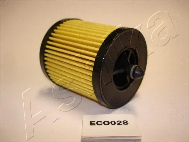 Oil Filter (10-ECO028)