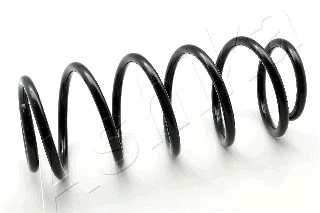 Suspension Spring (ZCA1184H)