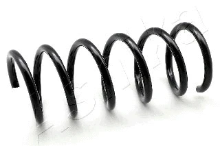 Suspension Spring (ZCA6309A)