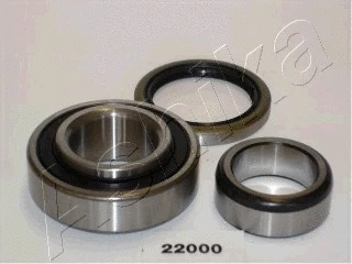 Wheel Bearing Kit (44-22000)