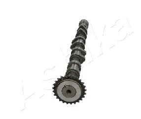 Camshaft (16HY009)
