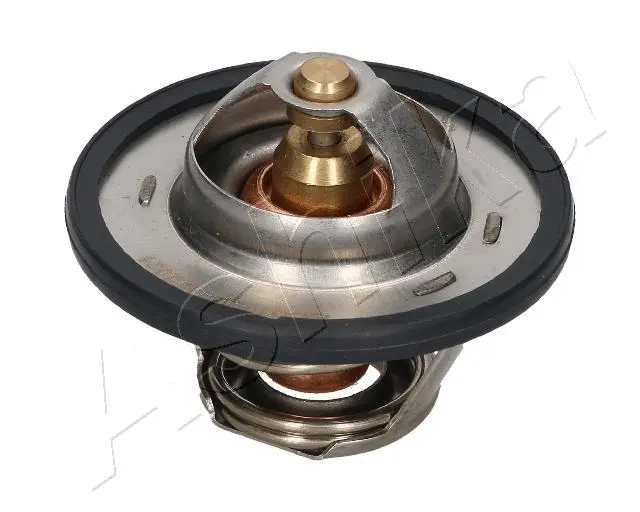 Thermostat, coolant (38-00-0402)