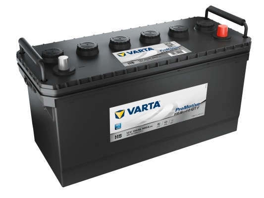 Starter Battery (600047060A742)