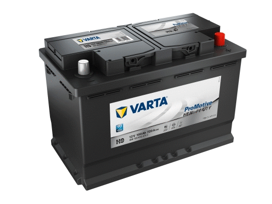 Starter Battery (600123072A742)