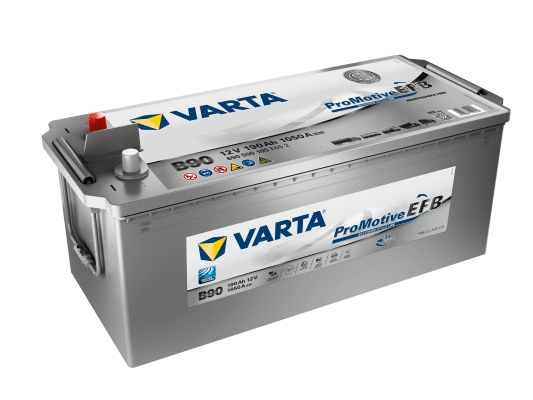 Starter Battery (690500105E652)