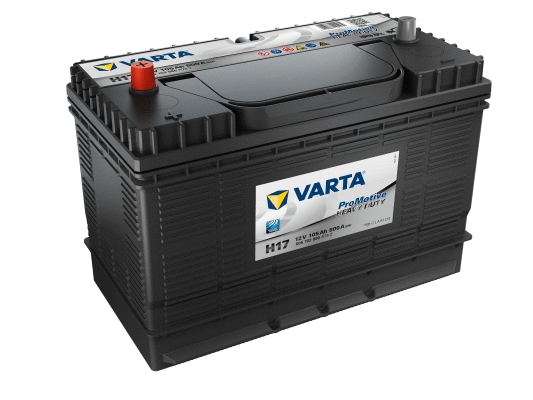 Starter Battery (605102080A742)
