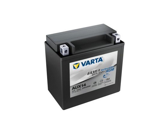 Starter Battery (513106020G412)