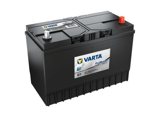 Starter Battery (590040054A742)