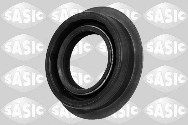 Shaft Seal, differential (1950013)