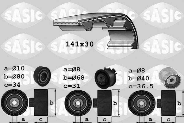 Timing Belt Kit (1756021)