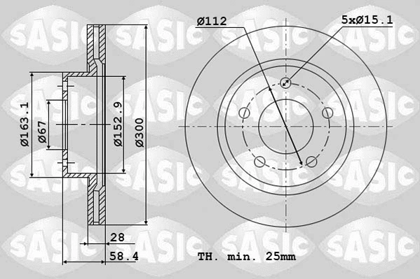Brake Disc (6106068)