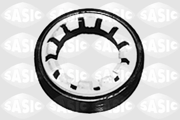 Shaft Seal, differential (1213263)