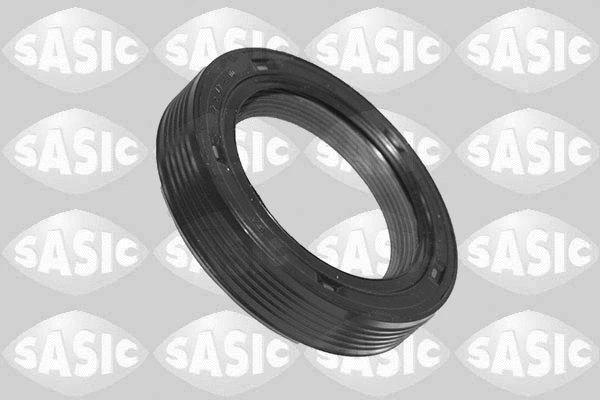 Shaft Seal, camshaft (1956007)