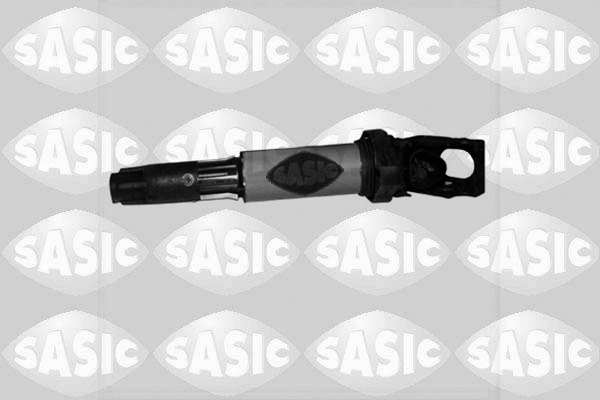 Ignition Coil (9206014)