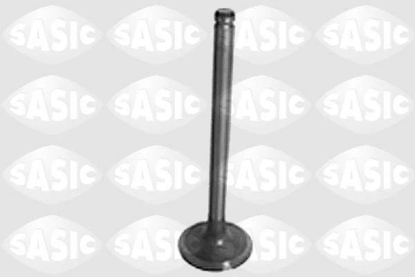Intake Valve (1604001)