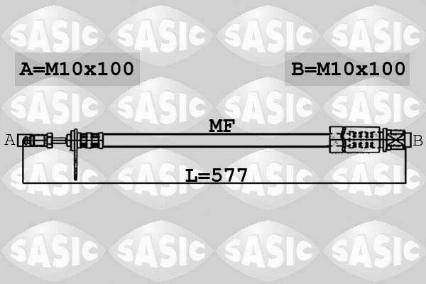 Brake Hose (6600005)