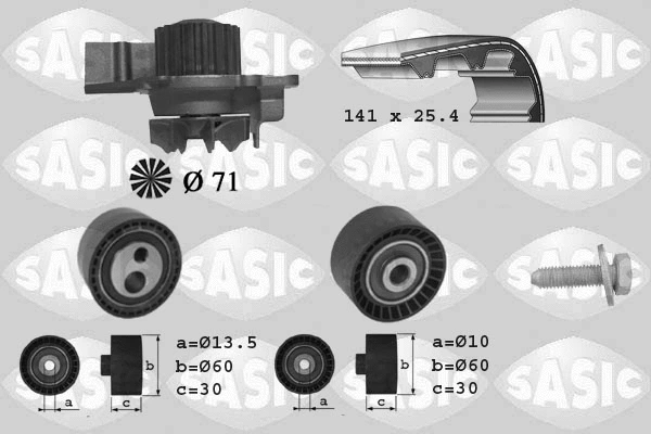 Water Pump & Timing Belt Kit (3900011)